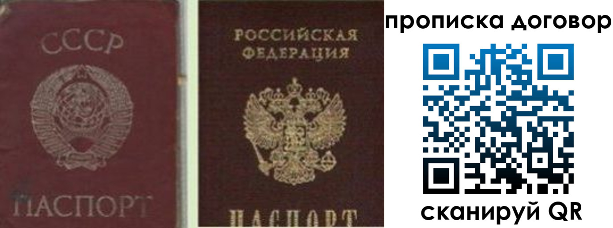 прописка гарантия в Сураже